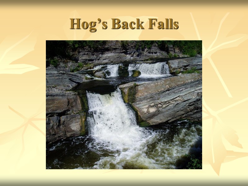 Hog’s Back Falls